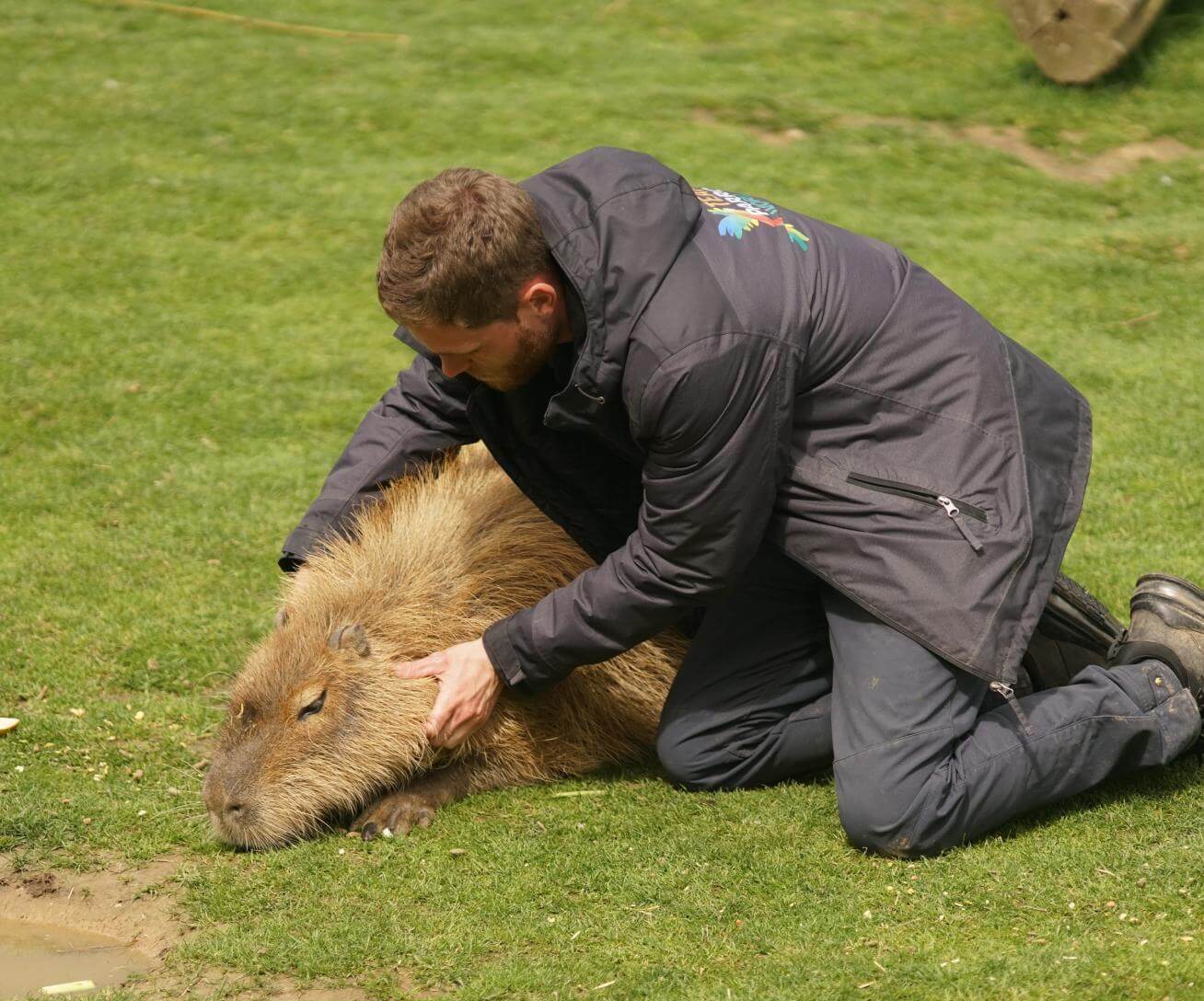 Soigneur animalier Parrot World - 2